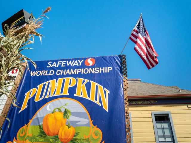 Safeway World Championship Pumpkin Weigh-Off Stage