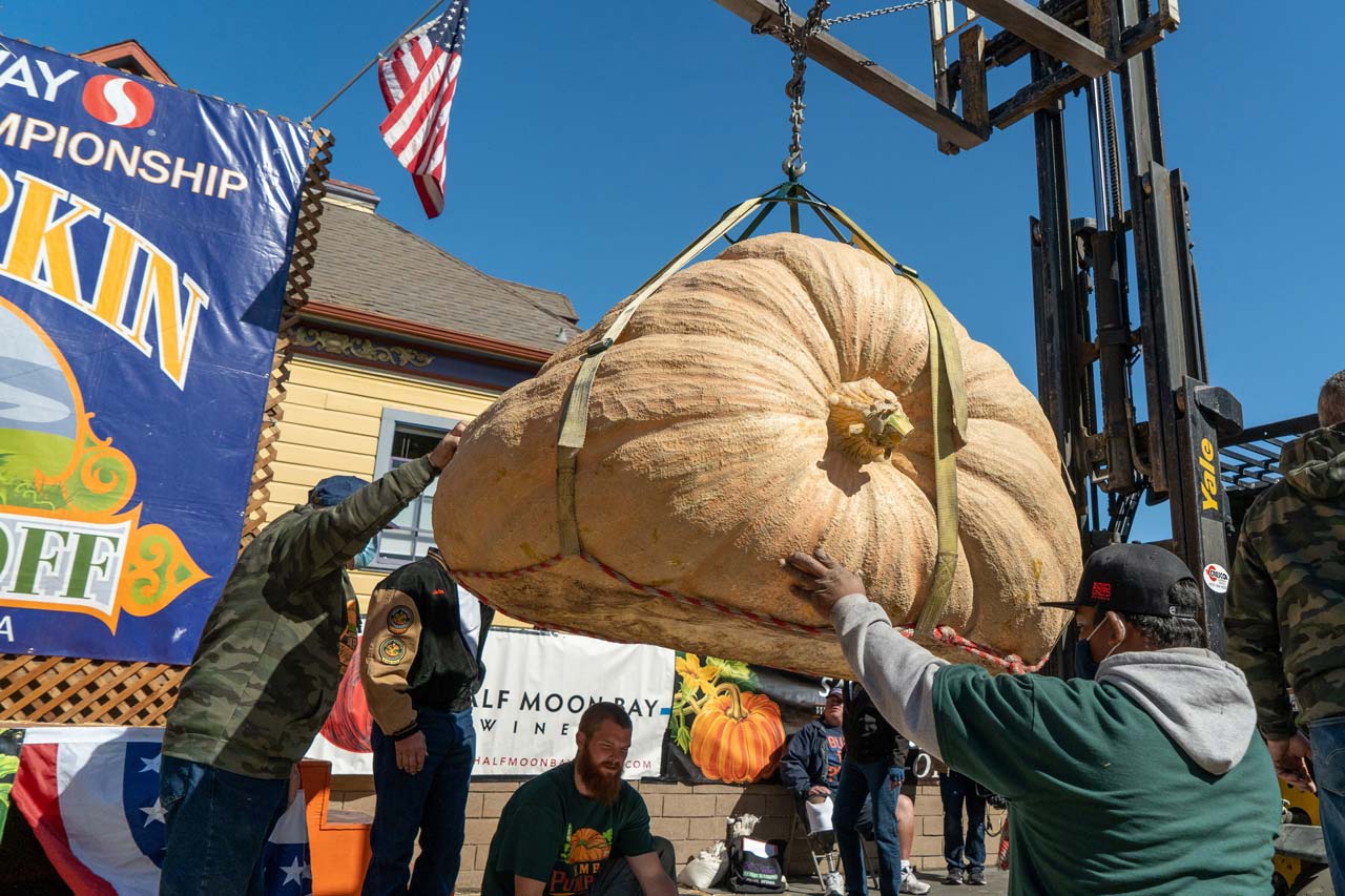 a 2021 pumpkin weigh-off contender suspended in mid-air