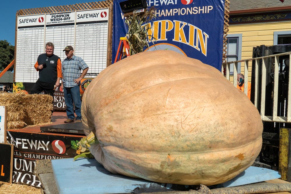 Jeff Uhlmeyer awaits weighing of winning mega-gourd