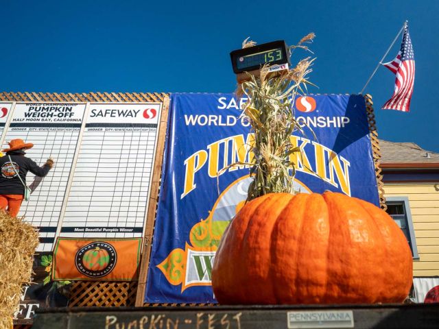 Pumpkin Weigh-Off Stage results board and official scale
