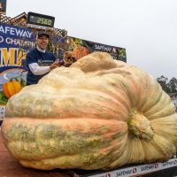2022 Winner Travis Gienger Poses Teddy With Winning Pumpkin